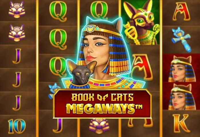 9winzcasino Download: Offizielle Website für Casino Spiele und App
